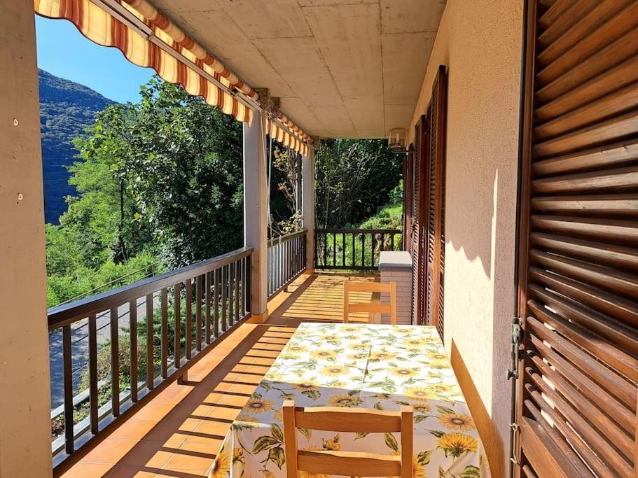 La Terrazza Apartment *